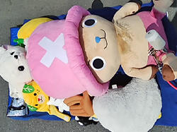 ナノダイヤモンド施工ぬいぐるみ